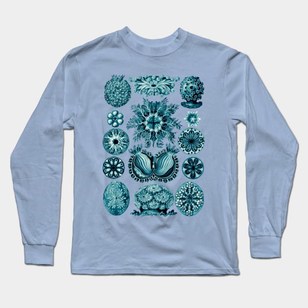 Ernst Haeckel Ascidiae Sea Squirts Teal Long Sleeve T-Shirt by Scientistudio